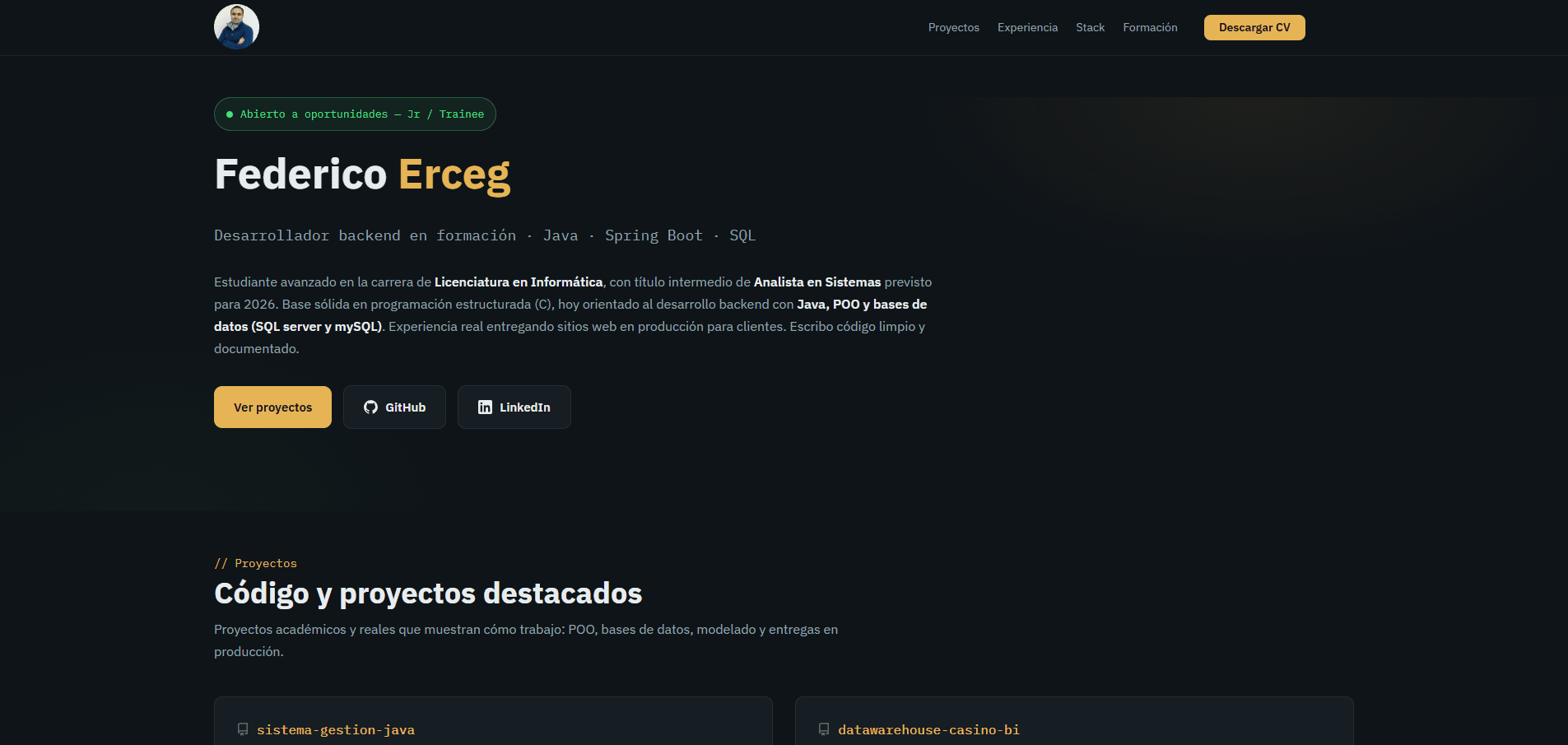 Captura de pantalla del sitio web profesional de Federico Erceg, desarrollador backend en formación con Java, Spring Boot y SQL